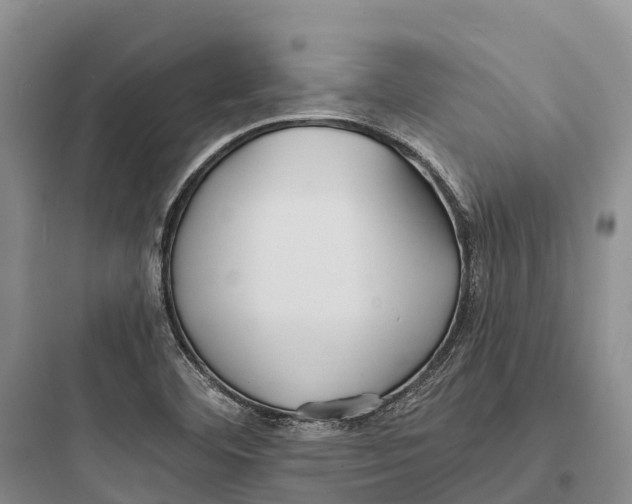 X0000097591460200803211625