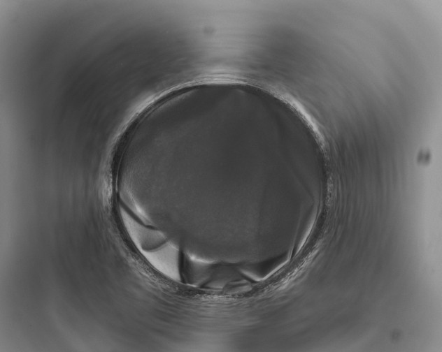 X0000097591461200803211625