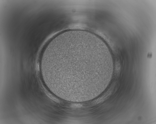 X0000097591462200803211625