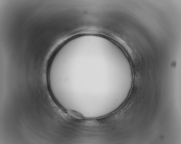 X0000097591464200803211625