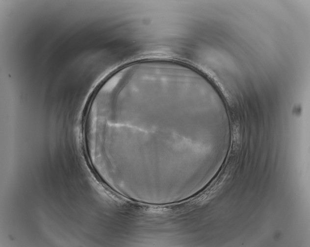 X0000097591466200803211625