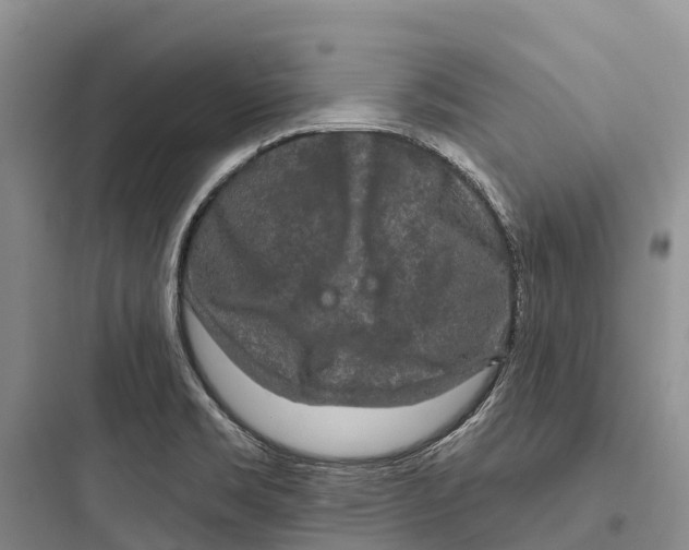 X0000097591469200803211625