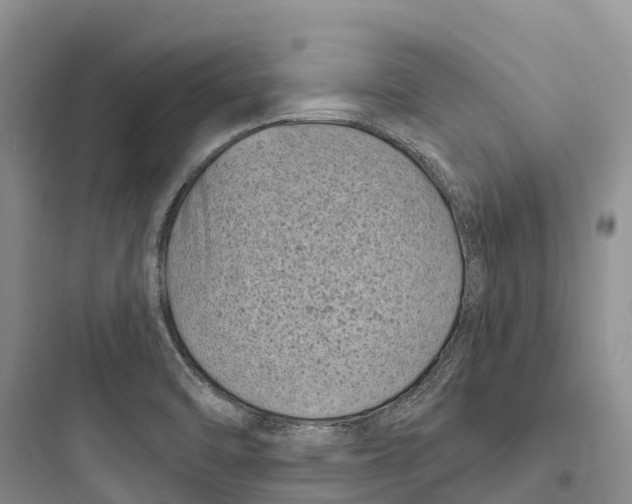 X0000097591470200803211625