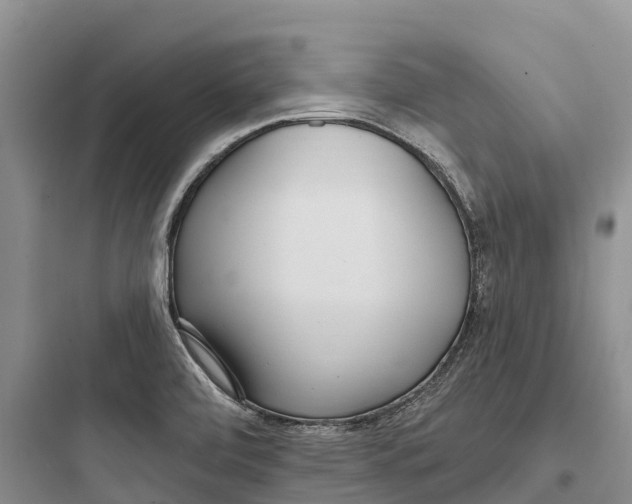 X0000097591472200803211625