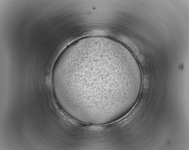 X0000097591473200803211625