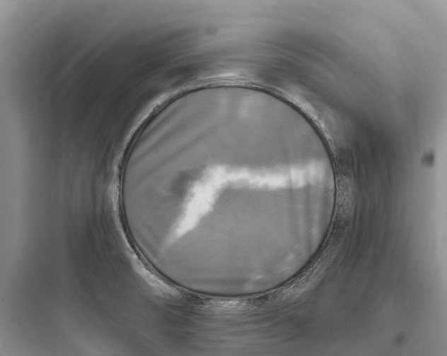 X0000097591474200803211625