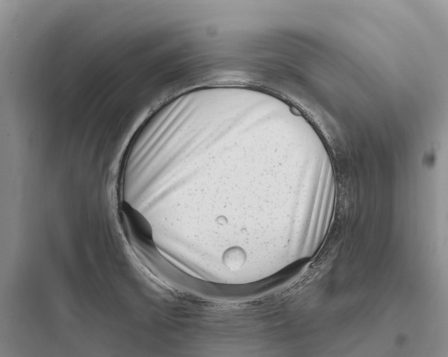 X0000097591475200803211625