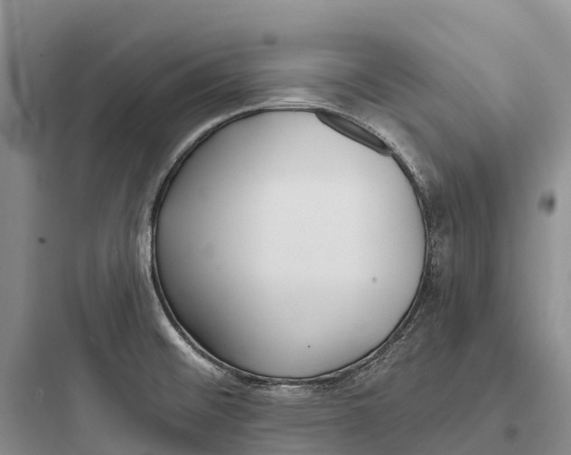 X0000097591476200803211625