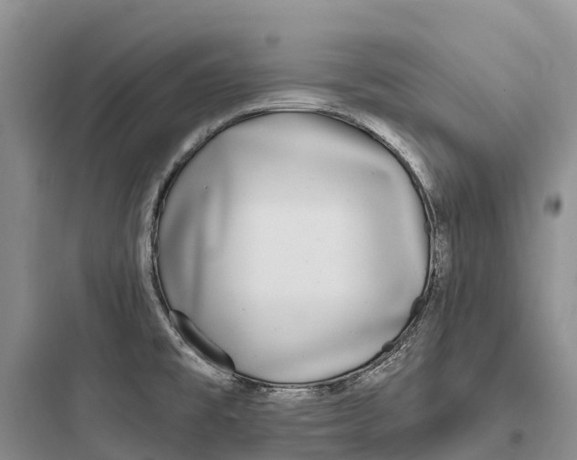 X0000097591477200803211625