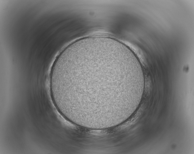 X0000097591478200803211625