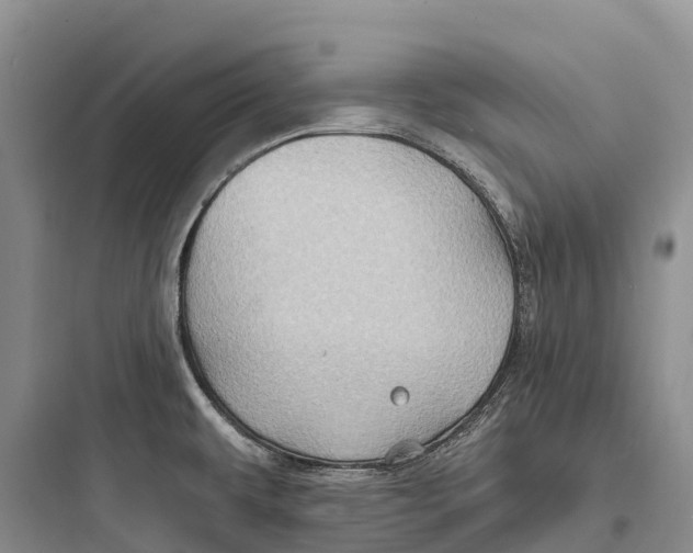 X0000097591479200803211625