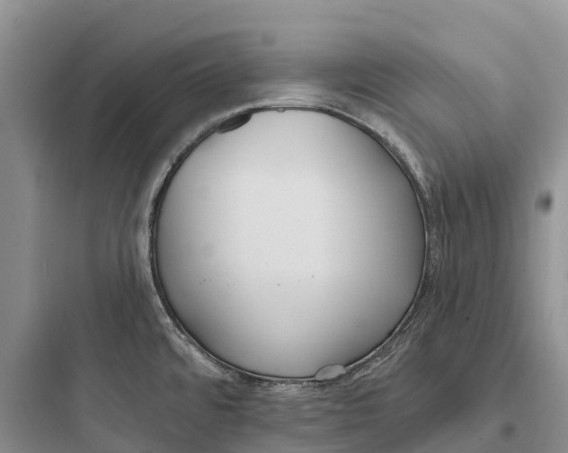 X0000097591480200803211625