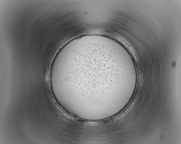 X0000097591481200803211625