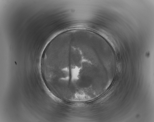 X0000097591482200803211625