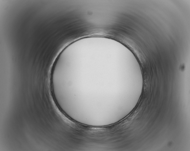 X0000097591483200803211625