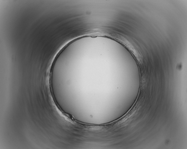 X0000097591484200803211625