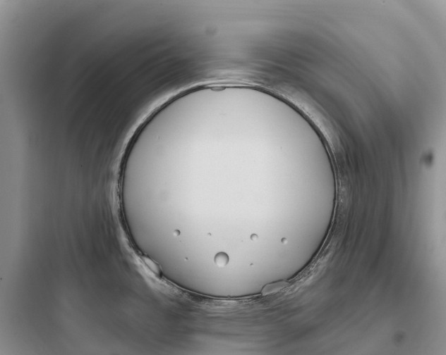 X0000097591485200803211625