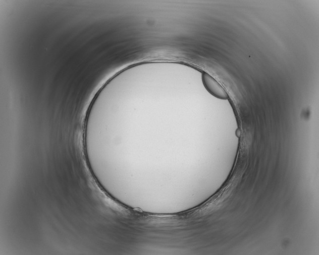 X0000097591486200803211625