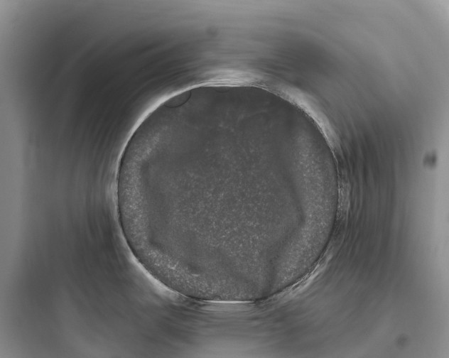 X0000097591487200803211625