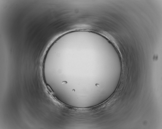 X0000097591488200803211625