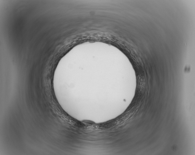 X0000097591489200803211624