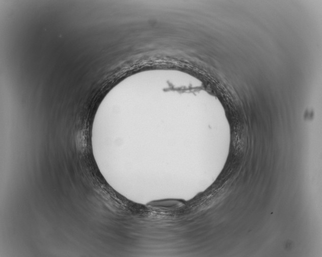 X0000097591490200803211624