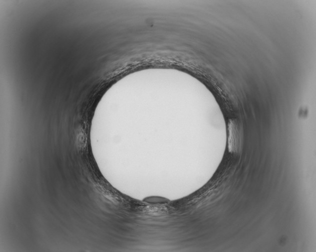 X0000097591491200803211624