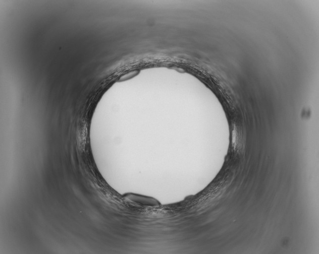 X0000097591492200803211624