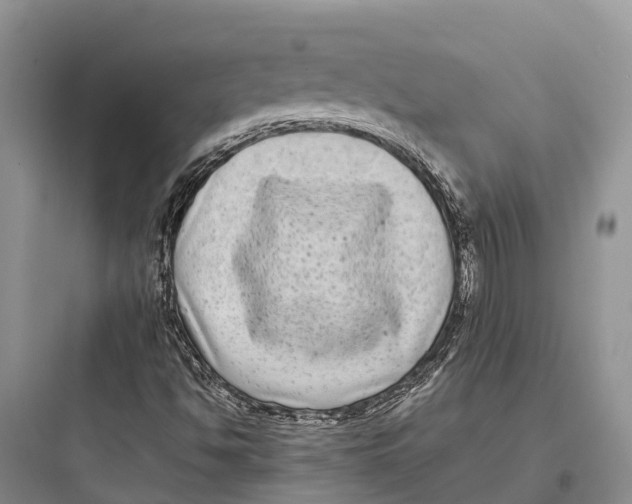 X0000097591494200803211624