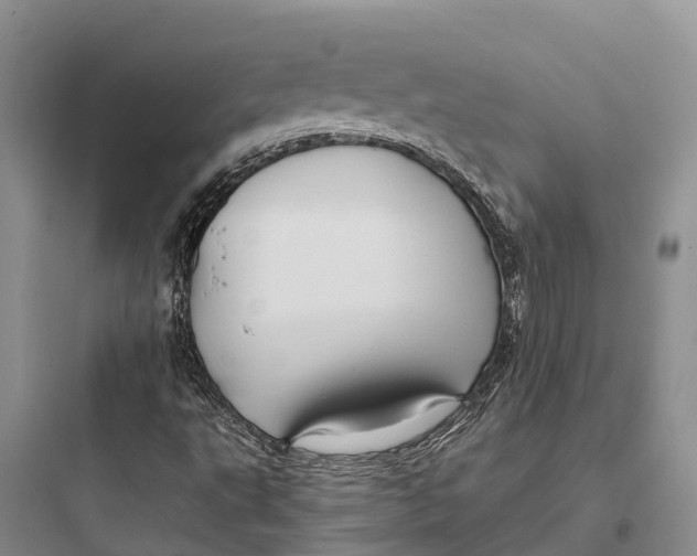 X0000097591495200803211624