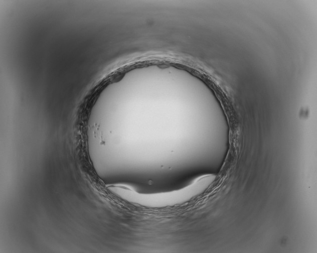 X0000097591496200803211624