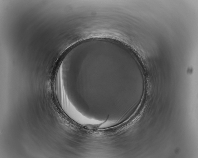 X0000097591497200803211624