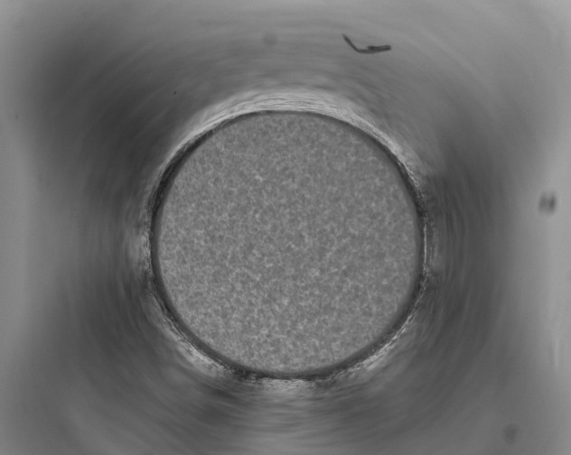 X0000097591498200803211624