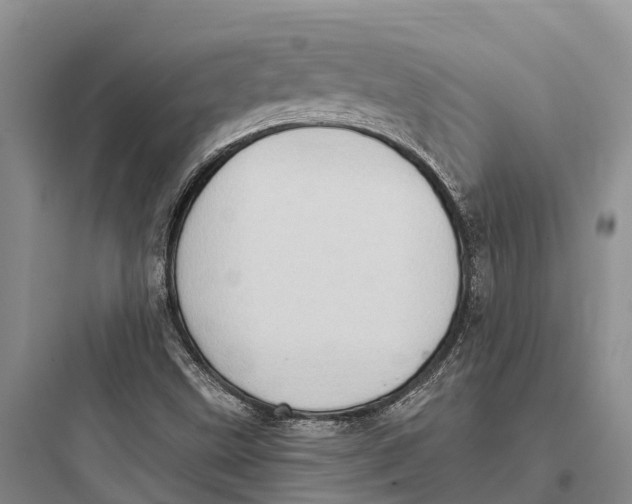 X0000097591499200803211624