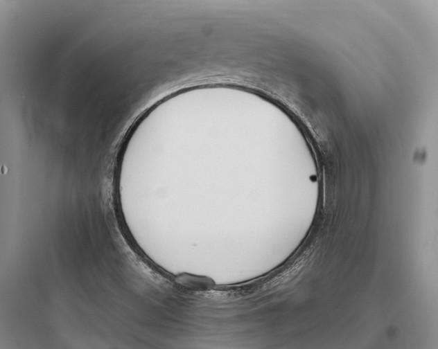 X0000097591500200803211624