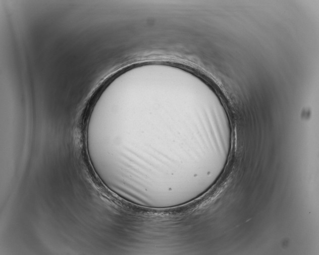 X0000097591501200803211624