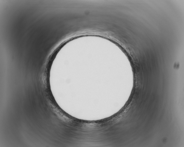 X0000097591502200803211624