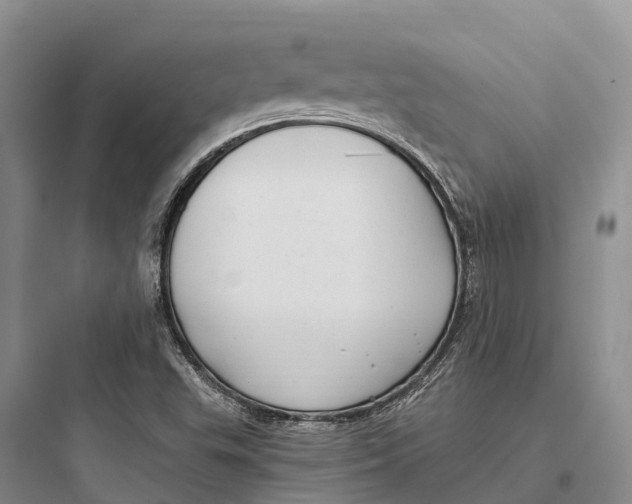 X0000097591503200803211624