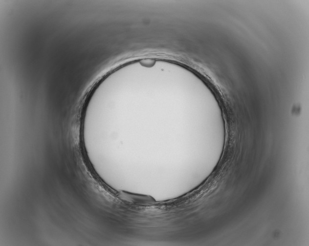 X0000097591504200803211624