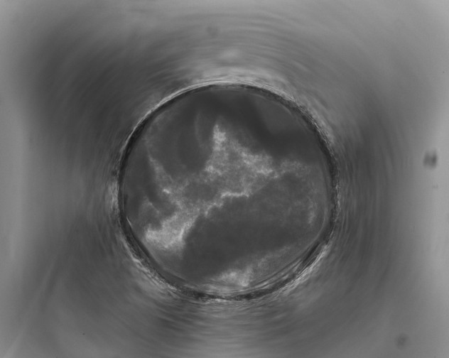 X0000097591505200803211624