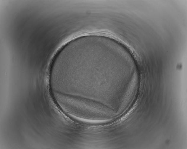 X0000097591506200803211624