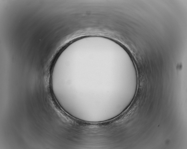 X0000097591507200803211625