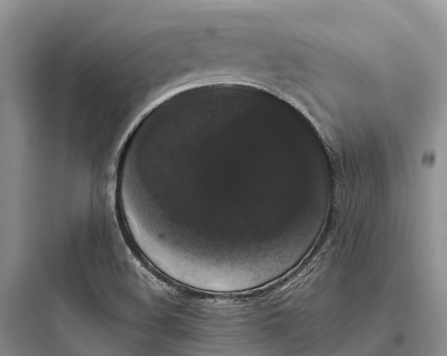 X0000097591508200803211625