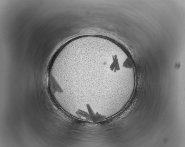 X0000097591509200803211625