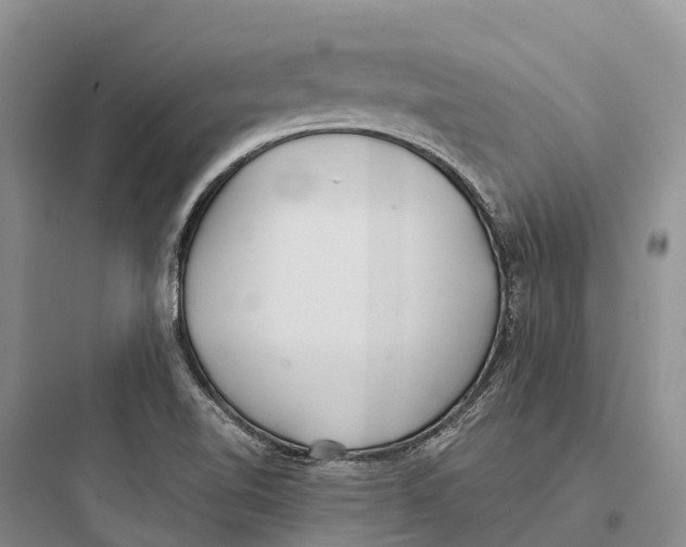 X0000097591510200803211625