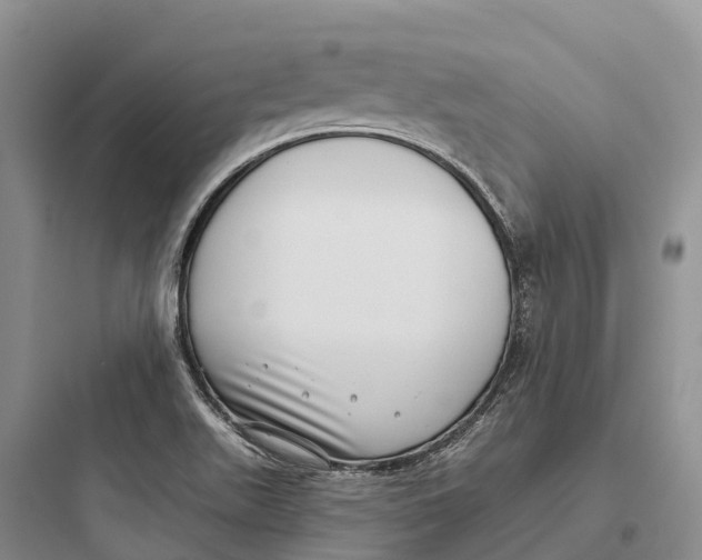 X0000097591511200803211625