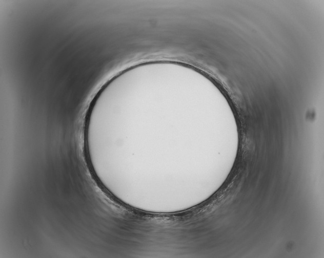 X0000097591512200803211625