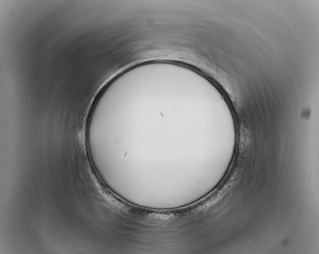 X0000097591513200803211625