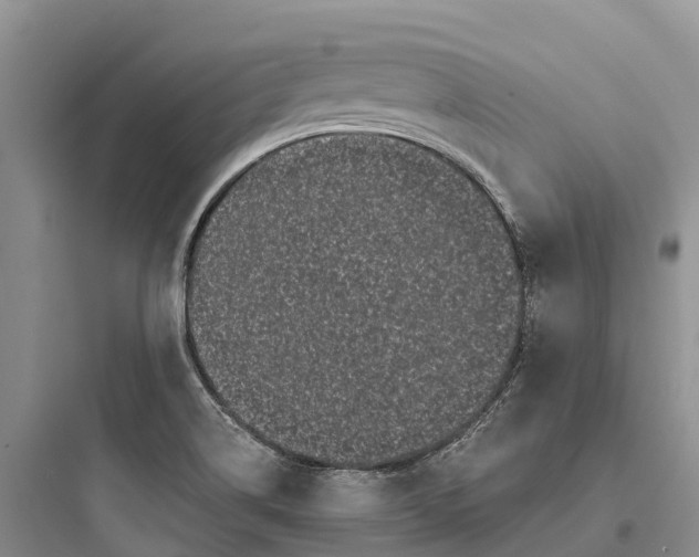 X0000097591514200803211625