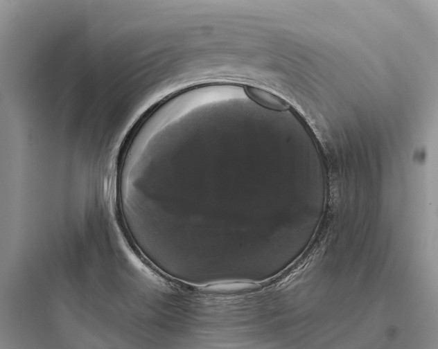 X0000097591515200803211625